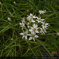 DSCN6638.JPG