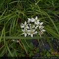 DSCN6639.JPG