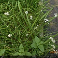 DSCN6640.JPG