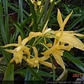 DSCN6670.JPG