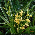 DSCN6669.JPG