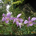 DSCN6834.JPG