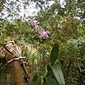 DSCN6836.JPG