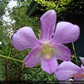 DSCN6837.JPG