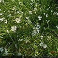 DSCN6830.JPG