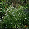 DSCN6831.JPG