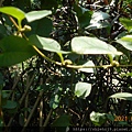 DSCN6882.JPG