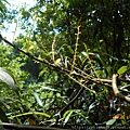 DSCN6884.JPG