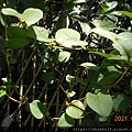 DSCN6881.JPG