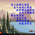 113.jpg