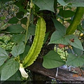 DSCN7044.JPG