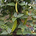DSCN7038.JPG