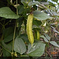 DSCN7043.JPG