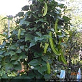 DSCN7190.JPG