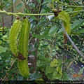 DSCN7191.JPG