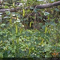 DSCN7189.JPG