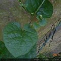 DSCN7207.JPG