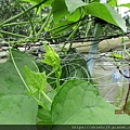 IMG_0032.JPG