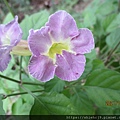 IMG_0123.JPG