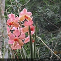 IMG_0391.JPG