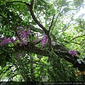 IMG_1470.JPG