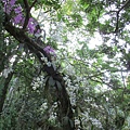 IMG_1583.JPG