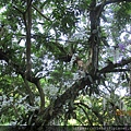 IMG_1585.JPG