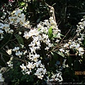 IMG_1588.JPG