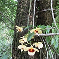 IMG_1865.JPG