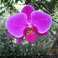 IMG_1682.JPG