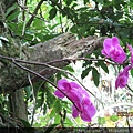 IMG_1692.JPG