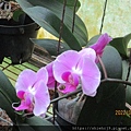 IMG_1832.JPG