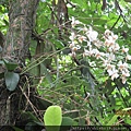 IMG_1839.JPG