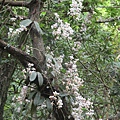 IMG_1840.JPG