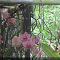 IMG_1843.JPG