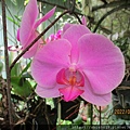 IMG_1848.JPG