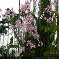 DSCN2997.JPG