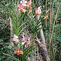 IMG_2392.JPG