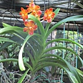 IMG_2444.JPG