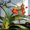 IMG_2446.JPG
