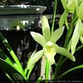IMG_2560.JPG