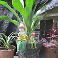 IMG_2675.JPG