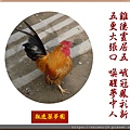 22100.1.7日本觀賞雞.jpg