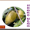 22100.1.7仙桃.jpg