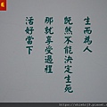 2-1115.jpg