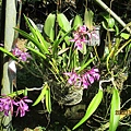 IMG_2982.JPG