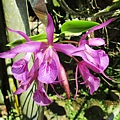 IMG_2983.JPG