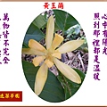 922100.7.1黃玉蘭.jpg