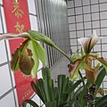 IMG_3441.JPG