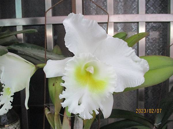 IMG_3737.JPG